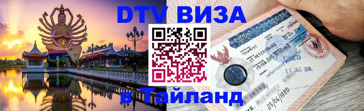 Сколько стоит DTV виза — актуальные цены, оформление даже без документов - 